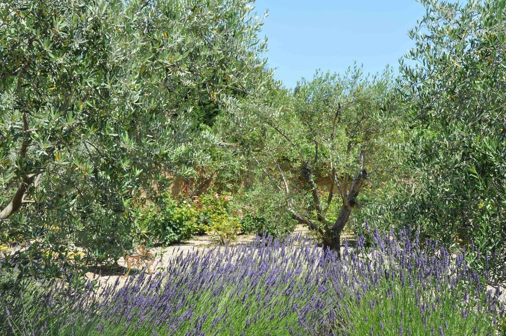 La Maison De Line Saint-Rémy-de-Provence Rum bild