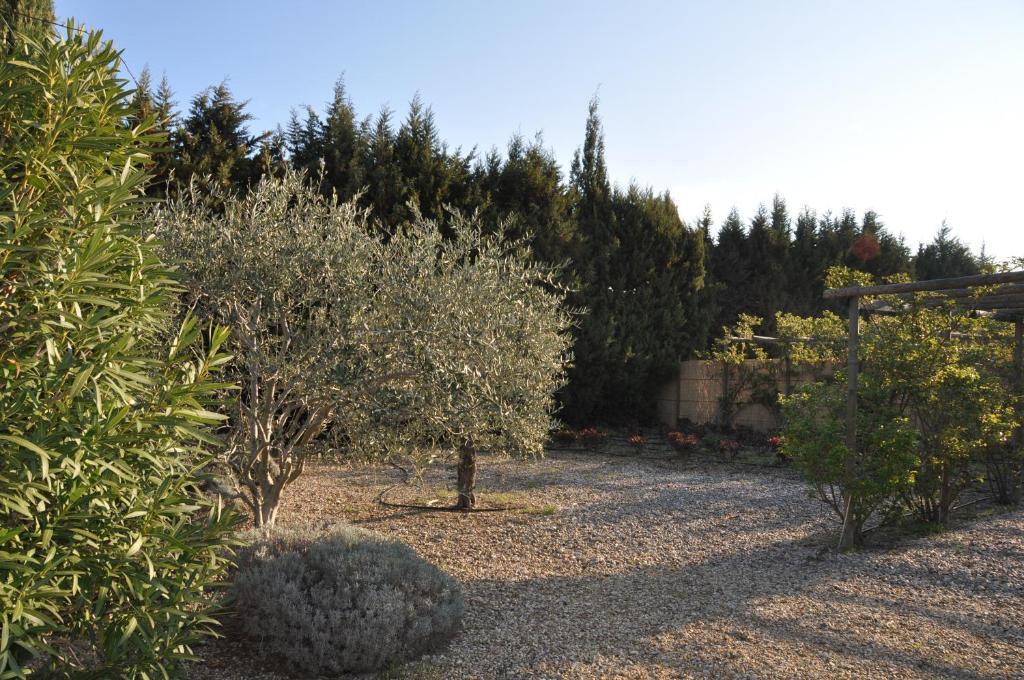 La Maison De Line Saint-Rémy-de-Provence Exteriör bild