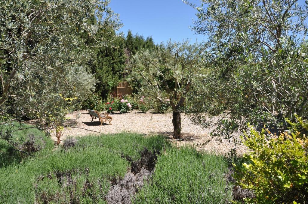 La Maison De Line Saint-Rémy-de-Provence Exteriör bild