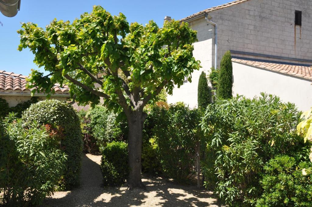 La Maison De Line Saint-Rémy-de-Provence Exteriör bild