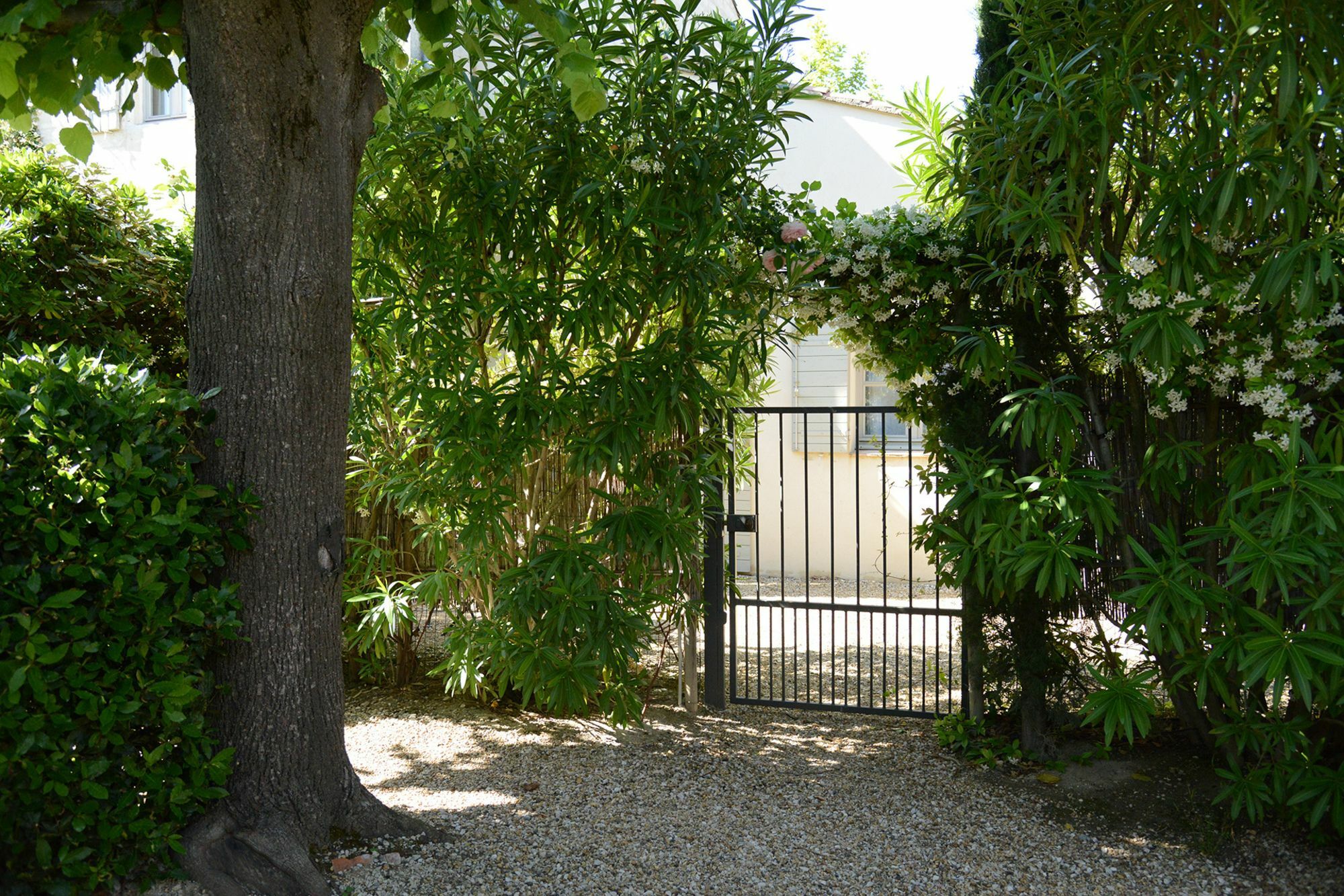 La Maison De Line Saint-Rémy-de-Provence Exteriör bild